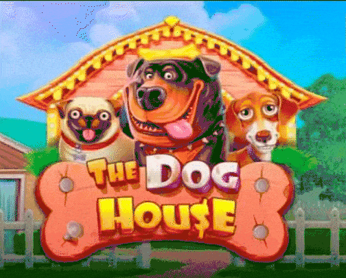 play The Dog House in betcollect casino